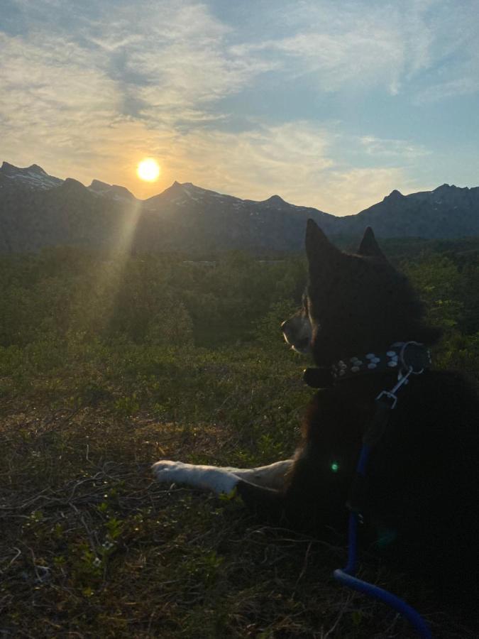 Nydelig Leilighet Pa Kreta I Lofoten Kabelvåg Exterior foto
